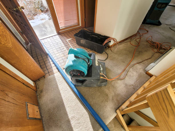 Best Water damage restoration near me  in Craig, AK