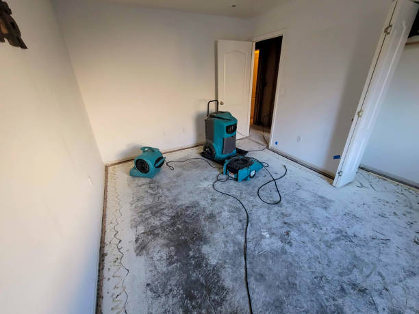 Best Flood restoration services  in Craig, AK