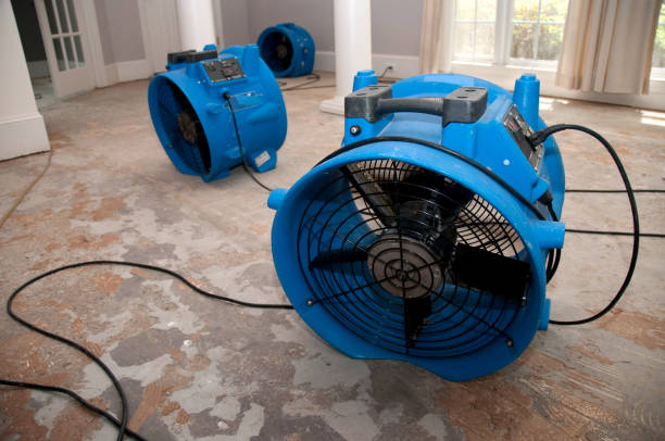 Best Emergency water damage restoration  in Craig, AK