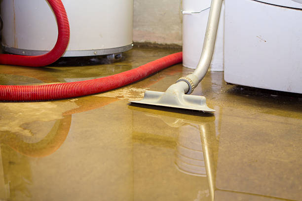 Best Mold removal after water damage  in Craig, AK