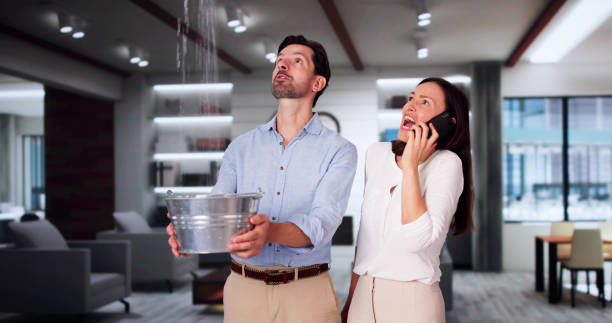 Best Fire Damage Restoration  in Craig, AK